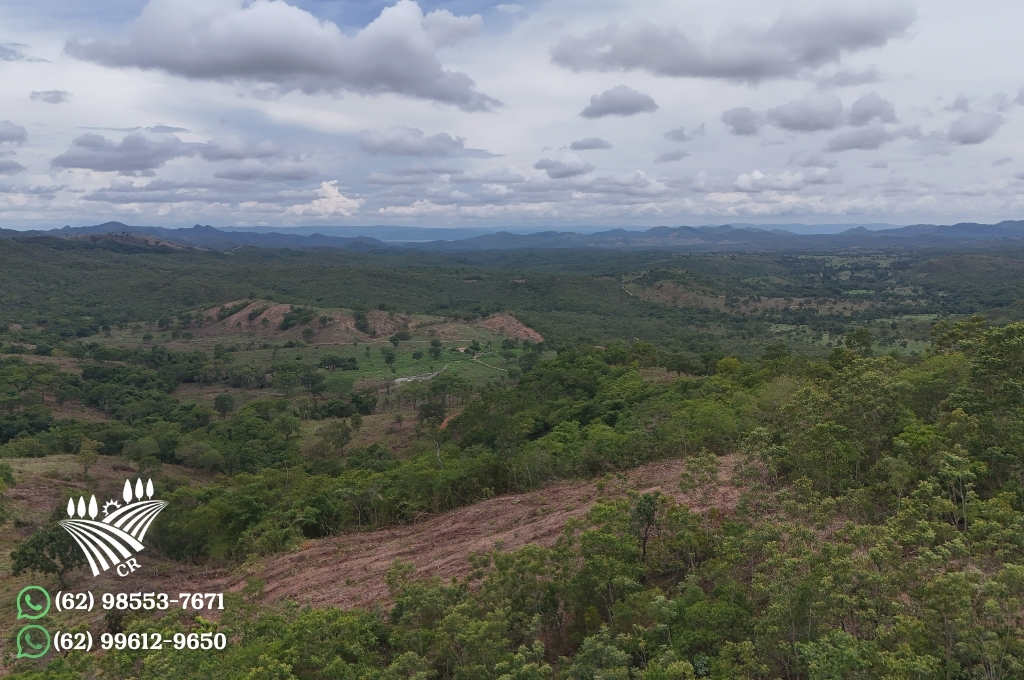 FAZENDA CAMPINAÇU-GO — PECUÁRIA E ALTO POTENCIAL PRODUTIVO