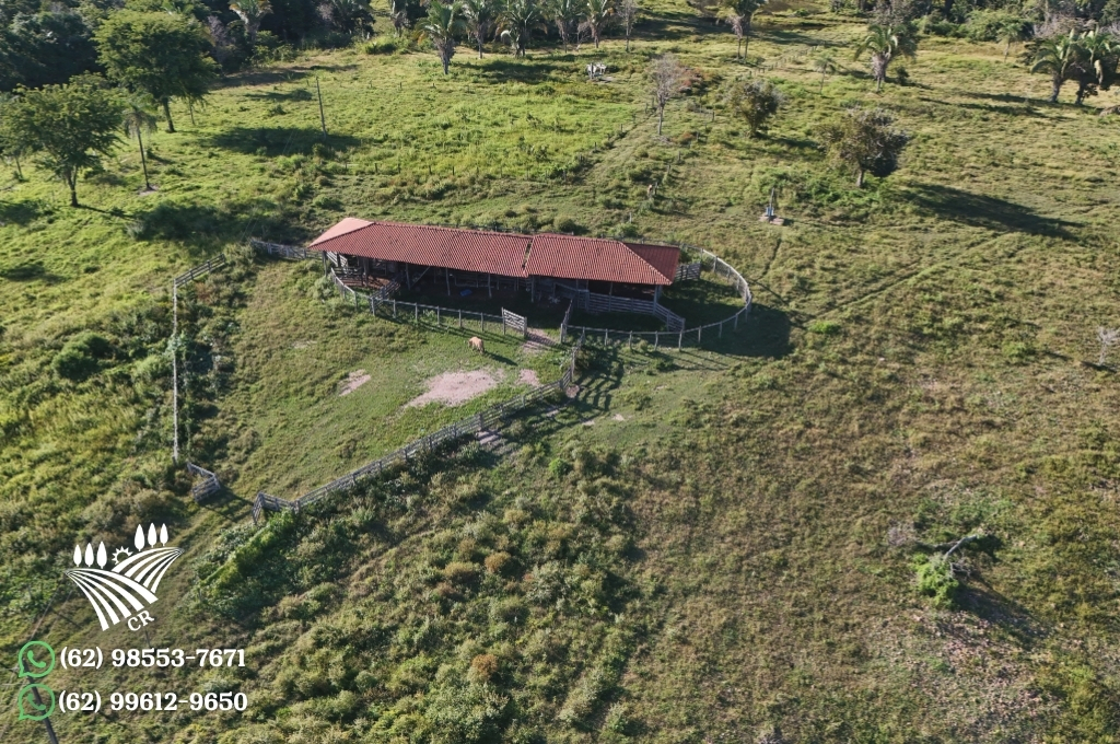 FAZENDA EM PAU TERRA – GOIÁS 774 HECTARES | PECUÁRIA DE ESCALA