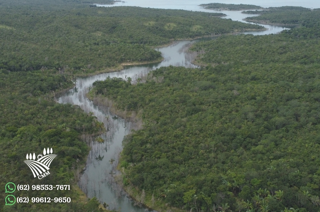 URUAÇU-GO FAZENDA NO MAIOR LAGO DO BRASIL IDEAL PARA PECUÁRIA