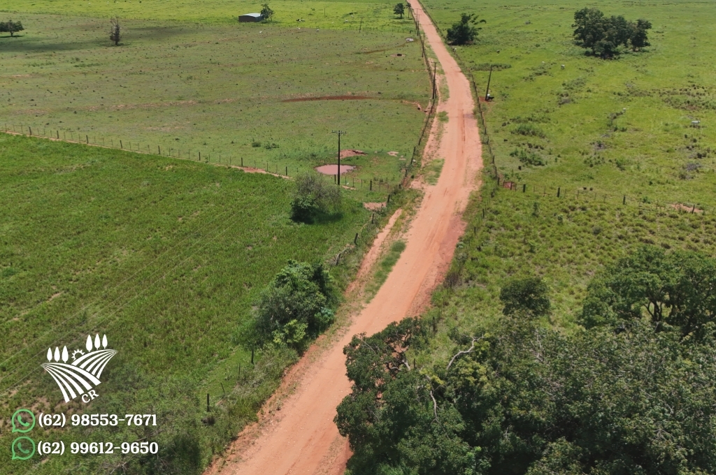 FAZENDA EM PRESIDENTE EPITÁCIO – SP 106 HECTARES | ESTRUTURA COMPLETA E PECUÁRIA