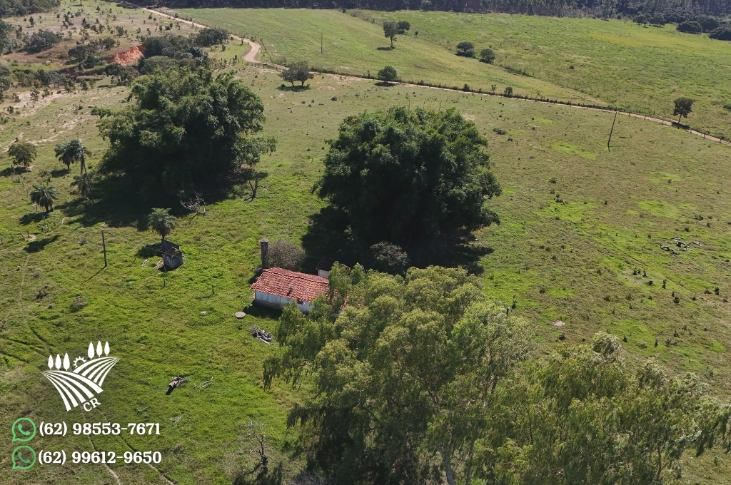 MORRO AGUDO – GOIÁS | 266 HECTARES | CRIA E RECRIA