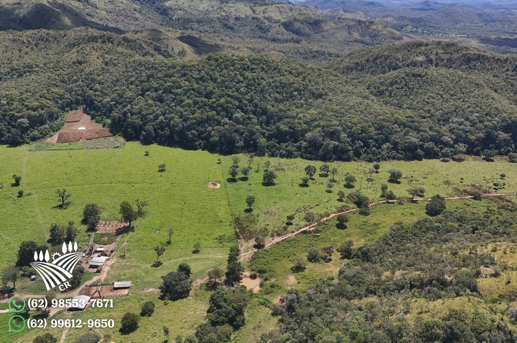 FAZENDA EM NIQUELÂNDIA – GOIÁS 1.471 HECTARES | DUPLA APTIDÃO E ALTO POTENCIAL PECUÁRIO