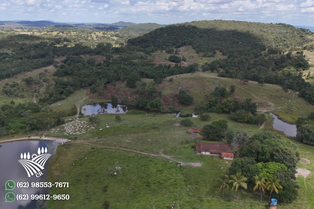 FAZENDA EM MORRO AGUDO – GOIÁS 624 HECTARES | PECUÁRIA E TERRA DE CULTURA